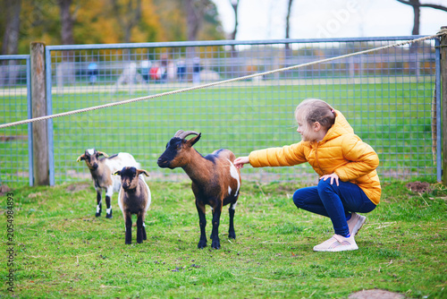 Young girl with goats in a farm animal enclosure