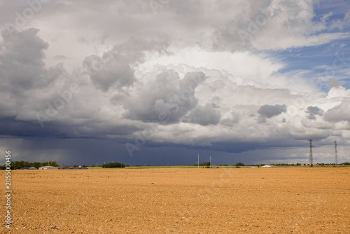 Quadro su tela Averse orageuse en campagne