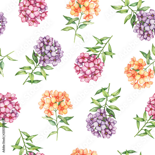 Seamless pattern with watercolor phlox, floral surface design, hand drawn flowers isolated on white background.