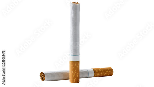 Εκτύπωση καμβά Isolated Two tobacco cigarettes, one standing vertically and one lying horizonta