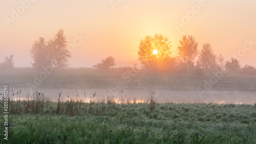 Cuadro en lienzo serene sunrise illuminates a misty riverside landscape, casting a golden glow ov