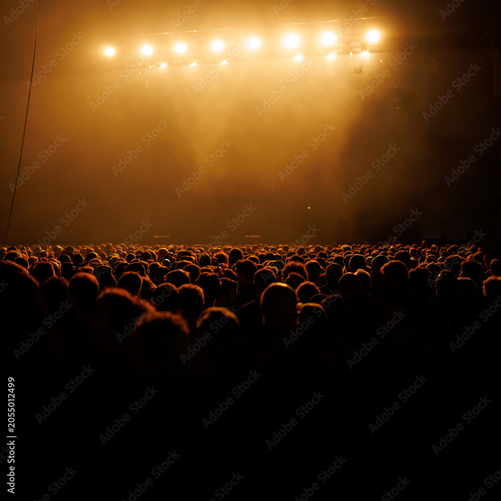 Obraz premium Silhouette of Large Audience Watching Stage Performance
