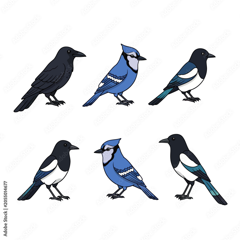 Fototapeta premium Cartoon Bird Illustrations Set with Crow Blue Jay and Magpie