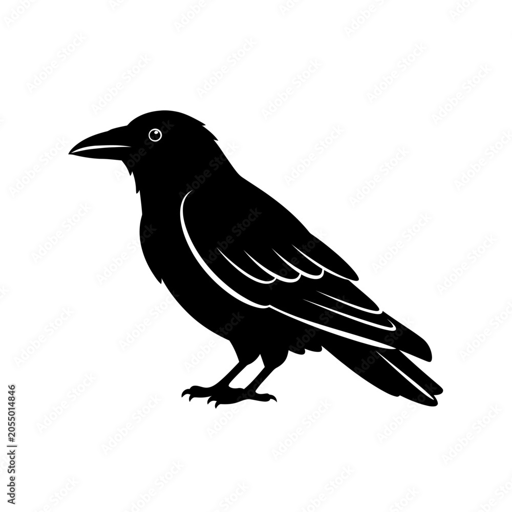 Fototapeta premium Minimalist Black Raven Bird Vector Illustration