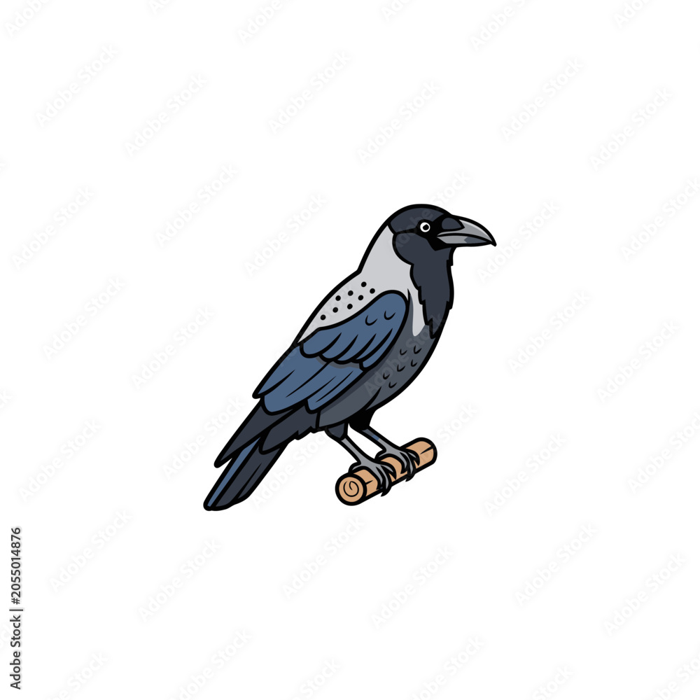 Obraz premium Hand Drawn Hooded Crow Bird Vector Illustration