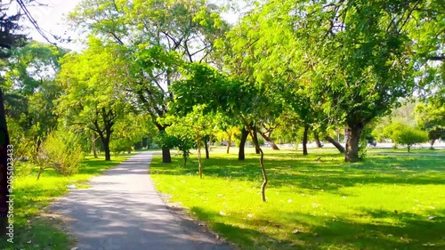 Sunlit Green Park Landscape with Lush Trees and Walking Path on a Bright Summer Day