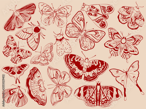  Butterflies and Moths Collection Vector Set	