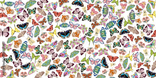 Colorful Butterflies Collection with Butterfly Background Vector Illustration	
