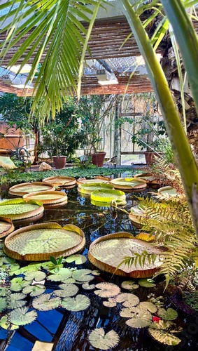 Photography botanical garden