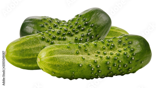 Fotografi Isolated fresh green bumpy gherkins with visible textures, delicious vegetables
