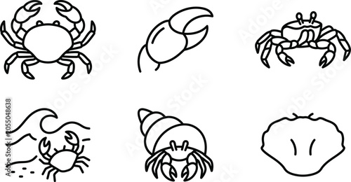 Black and white line art illustrations of crabs and seashells