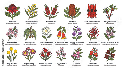 Foto Set of diverse australian native flowers with scientific labels