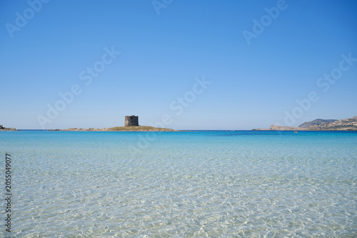 the beautiful beach of La Pelosa, with its turquoise waters, in Sardinia, Italy
