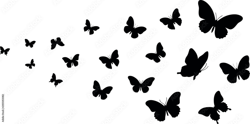 Fototapeta premium Flying butterfly silhouette collection featuring elegant insect shapes isolated nature wildlife vector illustration set