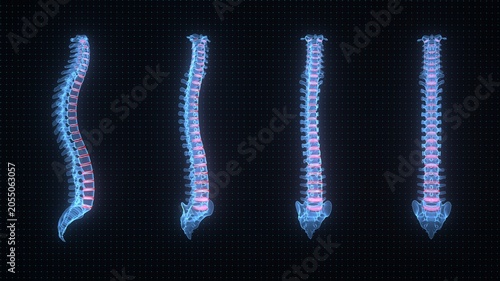 Spine anatomy with highlighted intervertebral discs for physiotherapy and rehabilitation. 3d illustration.
