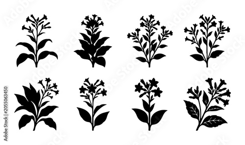 Tobacco Plant Silhouettes, Botanical Vector Illustrations, Floral Elements