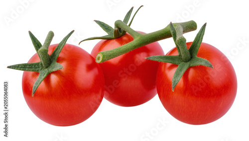 Isolated fresh ripe red cherry tomatoes on a vine with green stems, healthy organic vegetables