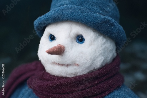 Snowman stands proud in a winter wonderland filled with charm