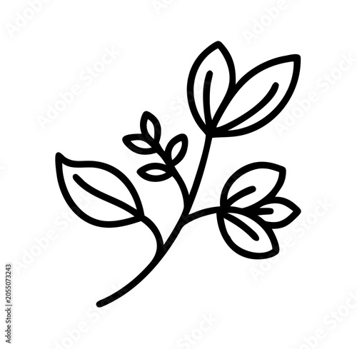 black and white flower