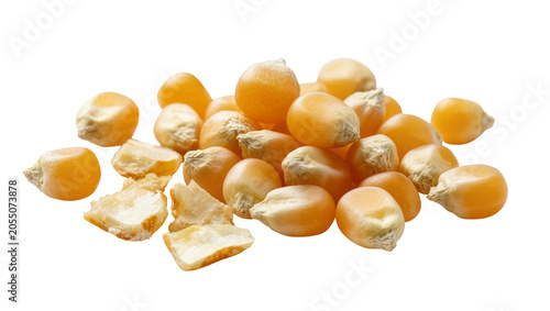 Isolated heap of raw unpopped popcorn kernels, dried yellow maize for snack food