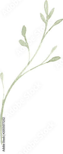 Watercolor Wildflower Filler Branch Illustration