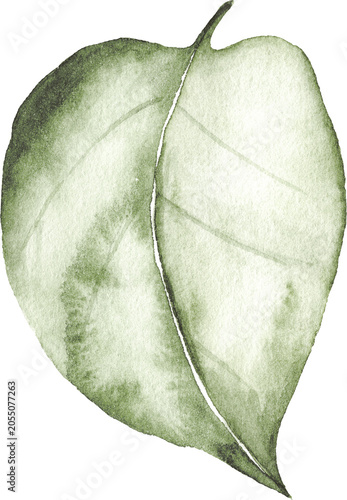 Watercolor Single Lilac Leaf Clipart