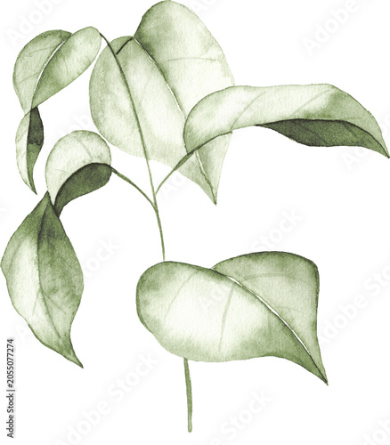 Watercolor Lilac Leaves Branch Clipart