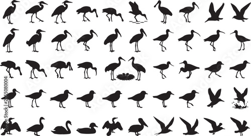 Photos Diverse Bird Silhouettes Collection, Waterfowl and Wading Birds, Vector Graphics