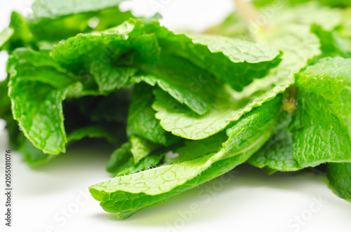 Photos Fresh mint leaves gleam with dewy vibrancy