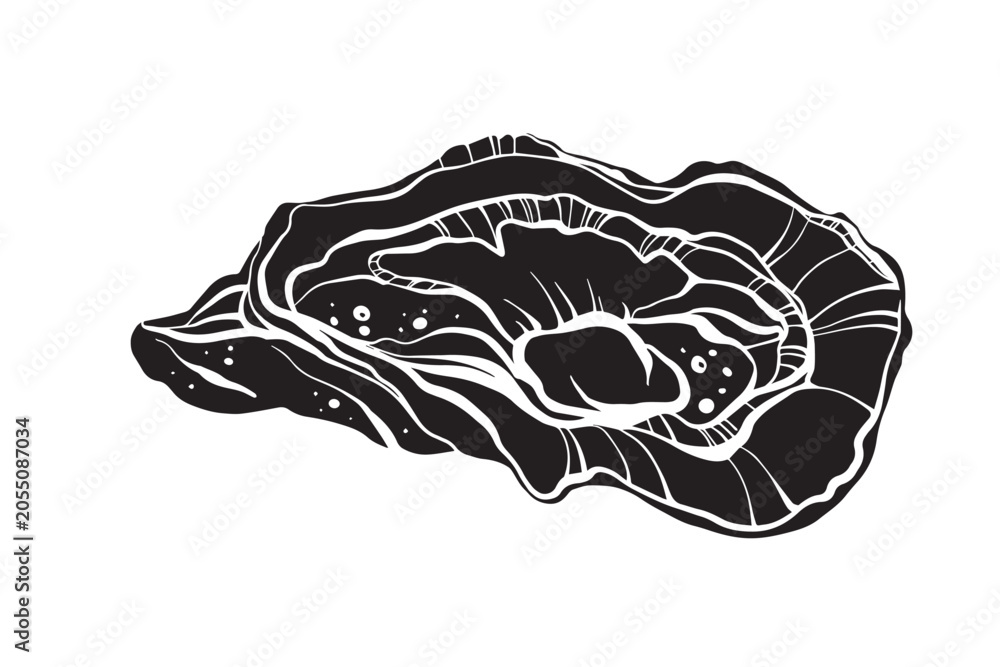 Obraz premium Black and white vector illustration of an open oyster shell with pearl isolated on white background.