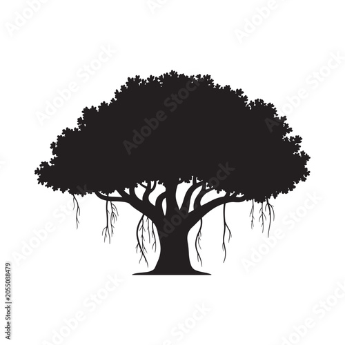 Tableau sur toile Fig tree silhouette against a white background detailed branching structure
