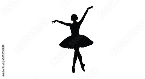 Bild auf Leinwand ballerina silhouette on white background dancer graceful