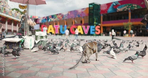 Monkeys and pigeons gather at Batu Caves during daytime in Malaysia as people walk around and enjoy the vibrant surroundings