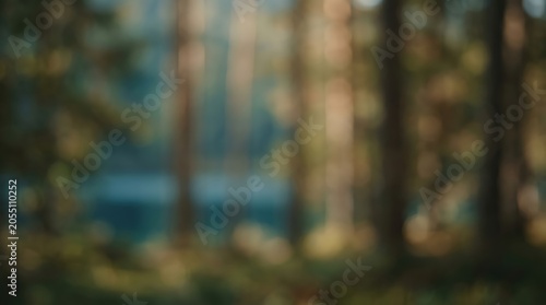 Blurred forest lake landscape background abstract nature bokeh woodland scenery out of focus outdoor environment soft lighting