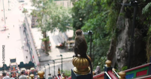 Macaque monkey observes visitors at Batu Caves steps in Malaysia during a sunny afternoon filled with activity and exploration