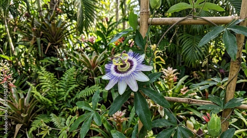 flower and bird