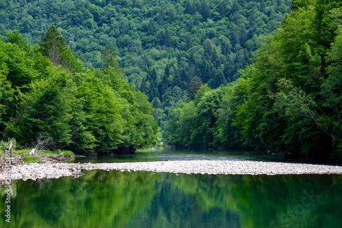Fotografija Emerald waters of the Kupa River reflecting dense forests and rolling hills in a