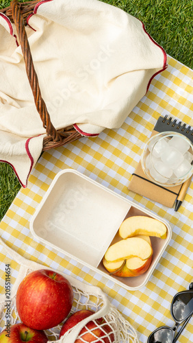Picnic basket with apples and lunchbox on a yellow checkered blanket