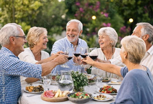 Group of senior friends enjoying a meal and toasting with wine glasses outdoors