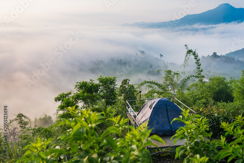 Serene Mountain Camping: A lone tent rests on a platform overlooking a breathtaking valley filled with a sea of mist, embraced by lush green foliage and rolling hills under a soft sky.