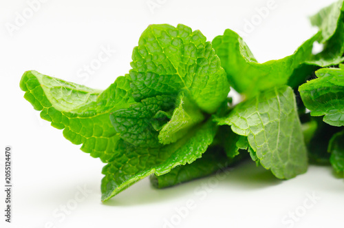 Schilderij op canvas Fresh mint leaves gleam with dewy vibrancy