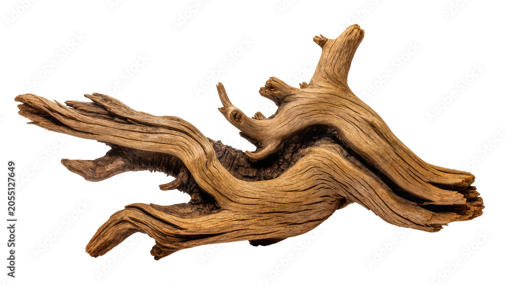 Fototapeta premium Isolated artistic natural weathered driftwood piece with beautiful organic patterns and texture