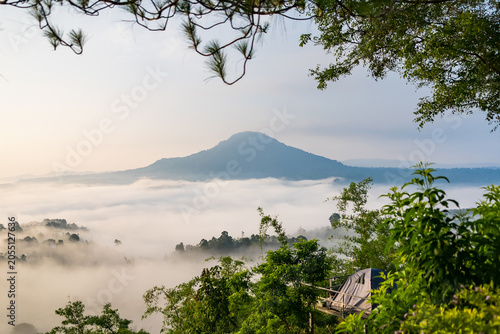 Misty Mountain Sunrise: A majestic mountain emerges from a blanket of mist, illuminated by the soft, ethereal light of early dawn, surrounded by lush greenery and framed by tree branches.