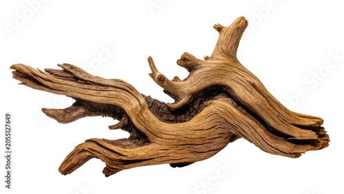 Isolated artistic natural weathered driftwood piece with beautiful organic patterns and texture