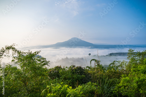 Misty Mountain Sunrise: A breathtaking panorama of a lone mountain peak emerging from a sea of clouds at sunrise, with lush green foliage framing the foreground.