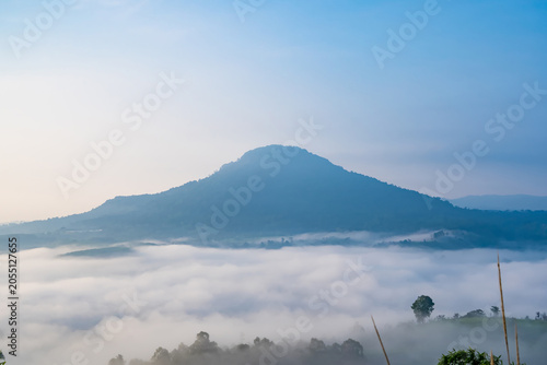 Misty Mountain Sunrise: A majestic mountain peak emerges from a sea of clouds as the soft morning light paints the sky in hues of blue and white.