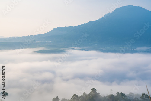 Misty Mountain Morning: A serene landscape featuring a majestic mountain shrouded in ethereal mist, with a dense forest peeking through the clouds below, creating a breathtaking natural panorama.