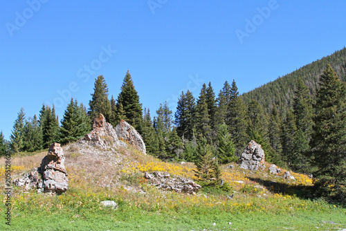 фотографія Colorful wildflowers surround rugged rock formations beneath evergreen forests in the Big Snowy Mountains of Lewis and Clark National Forest, Montana