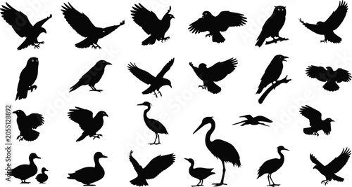 Bird Silhouette Collection Featuring Eagles Crows Owls Ducks and Herons