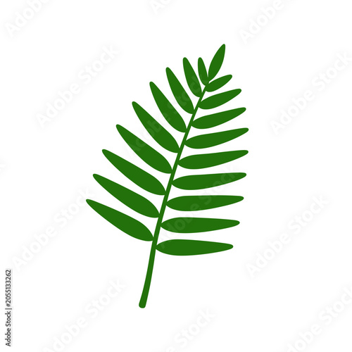 Green Fern Leaf Vector Icon, Isolated Transparent Background for Nature Design and Eco-Friendly Branding